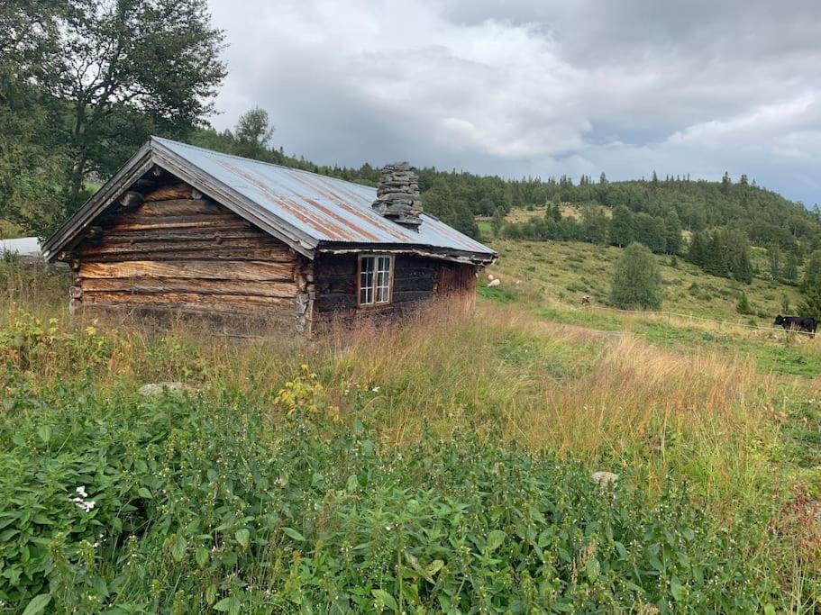 Na Er Vinteren Kommet Til Hallingdal Al Exterior foto