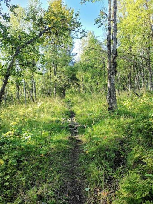 Na Er Vinteren Kommet Til Hallingdal Al Exterior foto