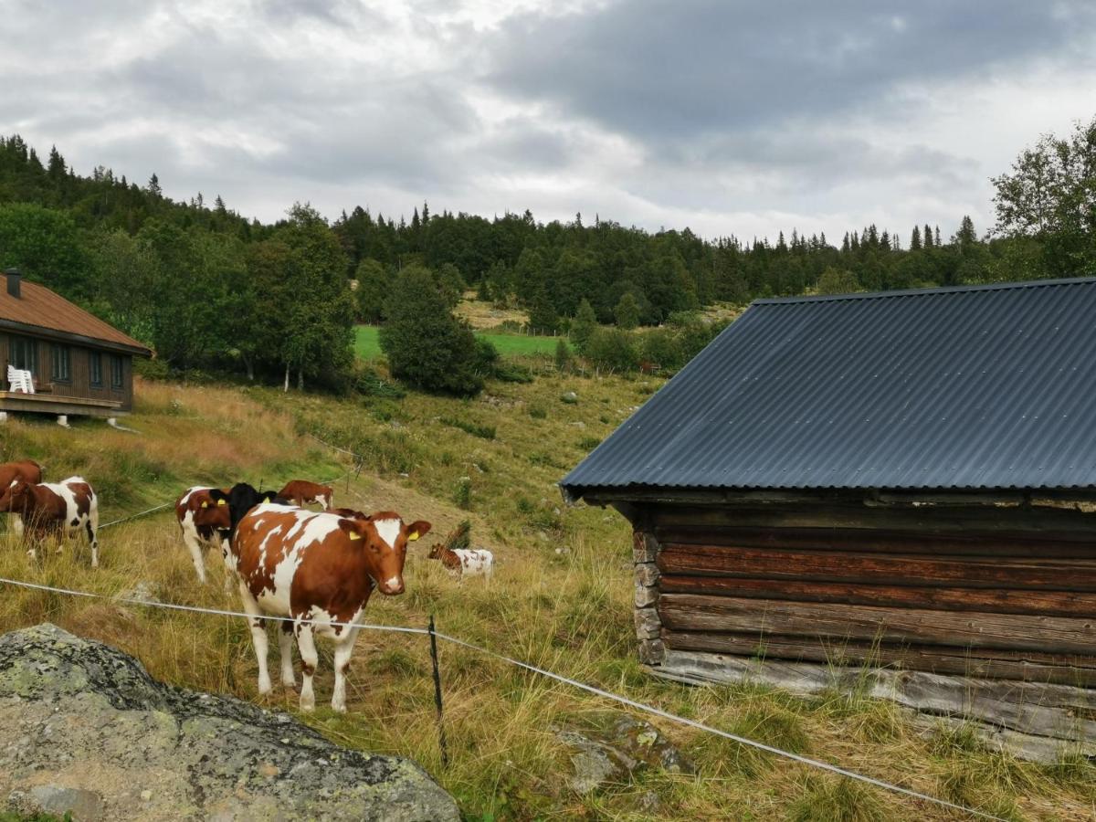 Na Er Vinteren Kommet Til Hallingdal Al Exterior foto